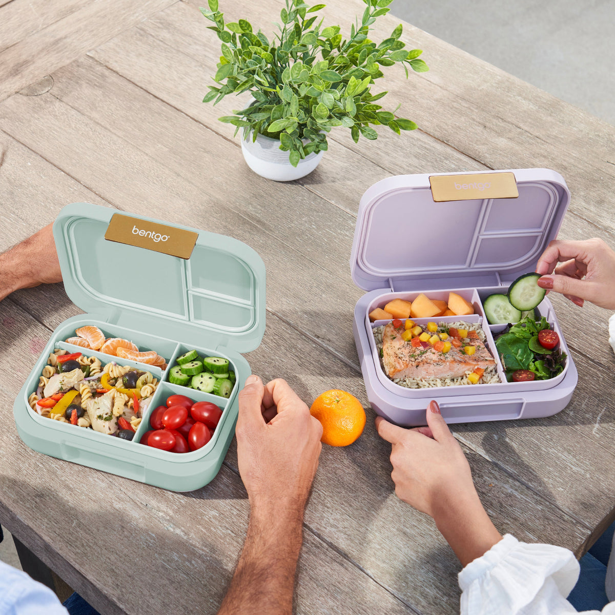 bentgo-modern-lunch-box-2-pack-s5 COSTCOBMCPRODUCTIMAGE_2.jpg